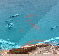 Nullarbor National Park - Attractions