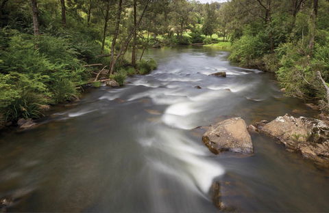 Nymboi-Binderay National Park - Attractions 0