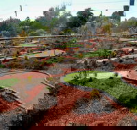 Orange Mini Golf - Attractions