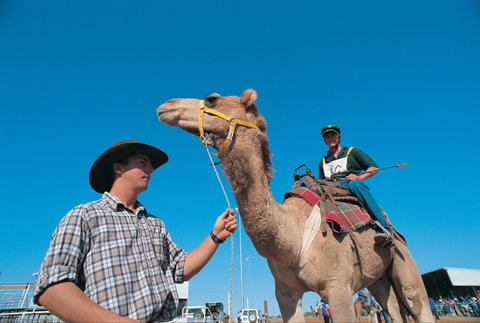 Outback Camel Festival Trail - Attractions 1