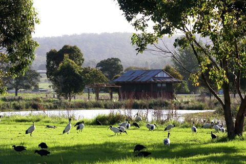 Panboola Wetlands - See Attractions 1