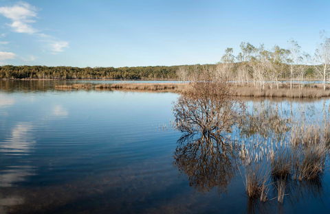 Pattimores Lagoon - Attractions 0