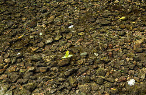 Potoroo Falls Picnic Area - See Attractions 0