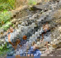 Queens Park Waterfall - Attractions