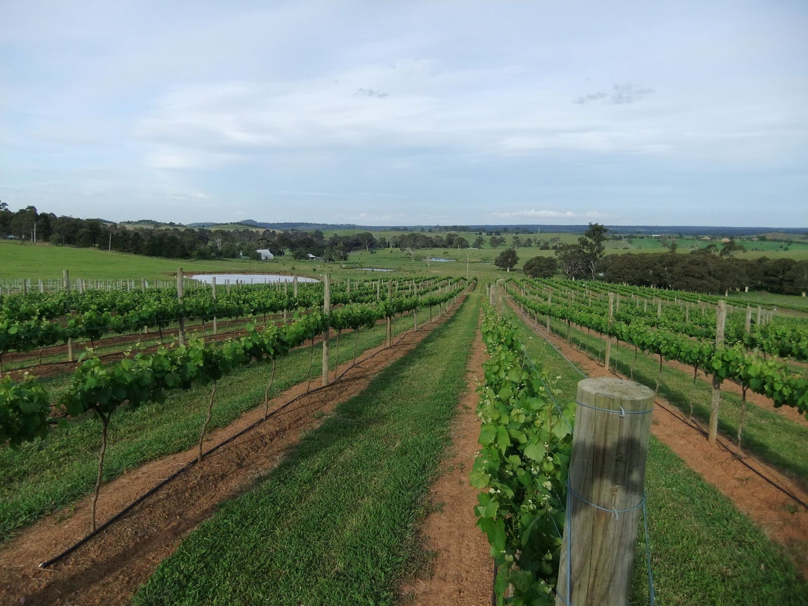 Razorback NSW Attractions