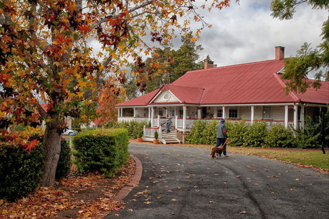 Ringsfield House, Nanango - Attractions 1