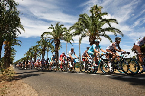 Seppeltsfield - Attractions 2