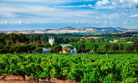Seppeltsfield Road Barossa Valley - Attractions 1