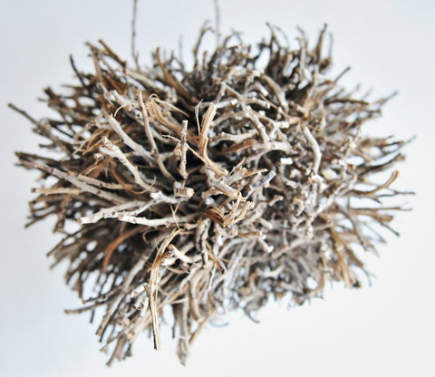 Serpentine Gallery - Attractions 0