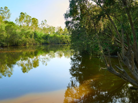 Shapcott Park - Attractions 1
