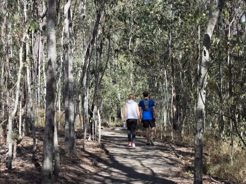 Six Mile Creek, Bluff Lookout And Little White Rock Trails - Attractions 0