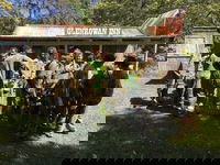 Skirmish Ulladulla