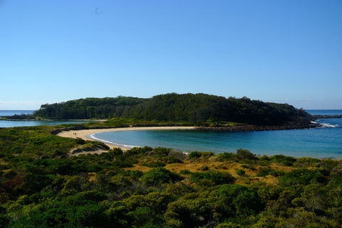 Snorkelling Broulee Island - Attractions 0