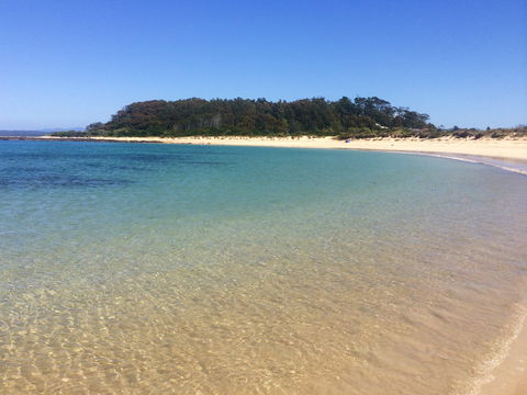 Snorkelling Broulee Island - Attractions 2