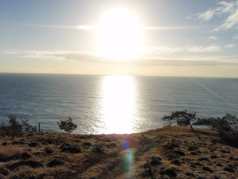 Southend Curtis Island - See Attractions 1