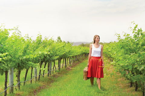 Swan Valley - Attractions 0