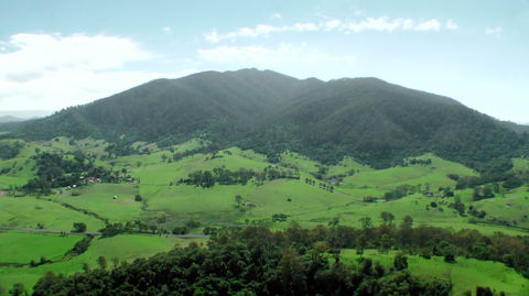 The Bellbird - Attractions Las Vegas 1