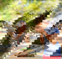 Tjapukai Aboriginal Cultural Park - Attractions