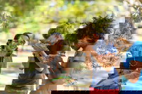 Tjapukai Aboriginal Cultural Park