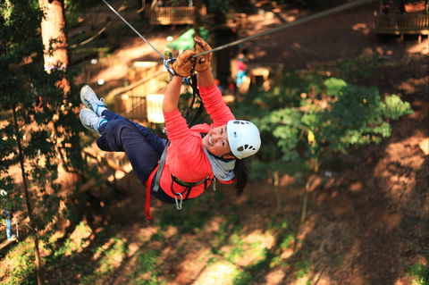 Trees Adventure - Glen Harrow Park - Attractions Las Vegas 0