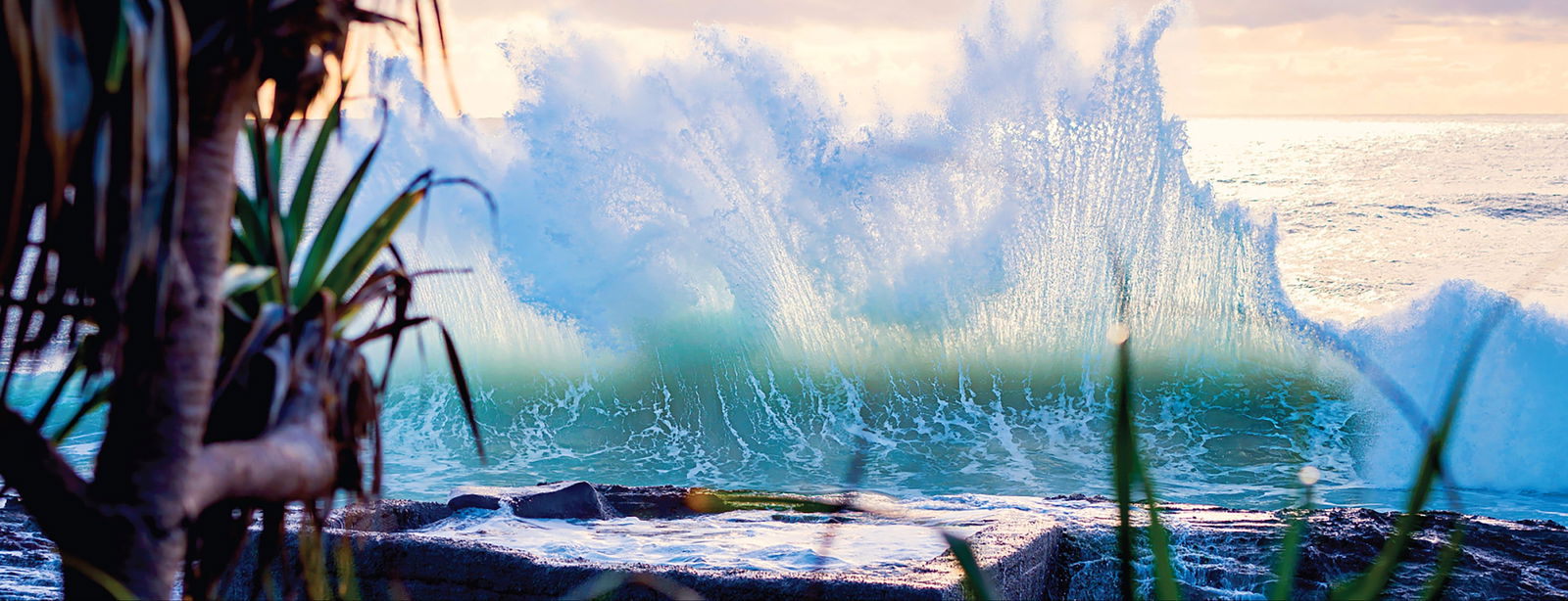 Tugun QLD Attractions