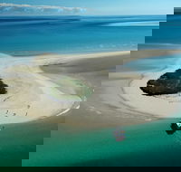 Turtle Discovery - Attractions