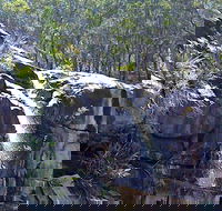 Ugly Corner Falls Walking Track - Attractions