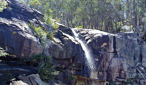 Ugly Corner Falls Walking Track - Attractions 0