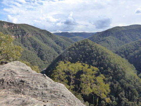 Vale Of Avoca - Attractions Las Vegas 0