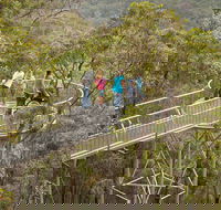 Walpole Wilderness Discovery Centre - Attractions
