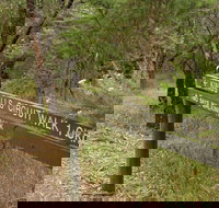 Waterfall Gully - Kings Falls Circuit Walk - Attractions