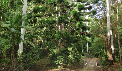Way Way Creek Road Drive - Attractions 0