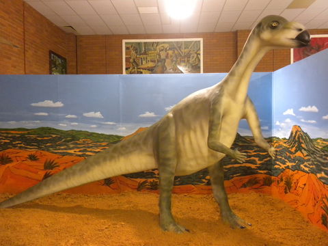 Wentworth Pioneer Museum - Attractions 1