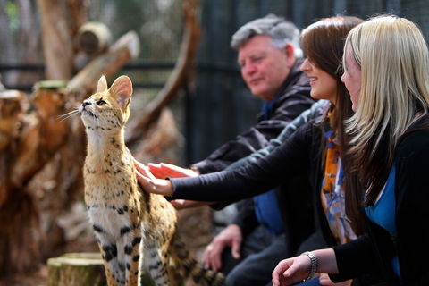 Werribee Open Range Zoo - Attractions 0