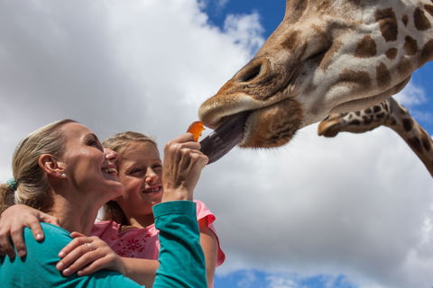 Werribee Open Range Zoo - Attractions 2