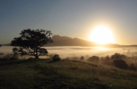 Wollumbin-Mount Warning National Park - Attractions 0