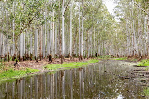 Wonga Wetlands - Attractions 0
