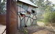 Wonga Wetlands - thumb 1