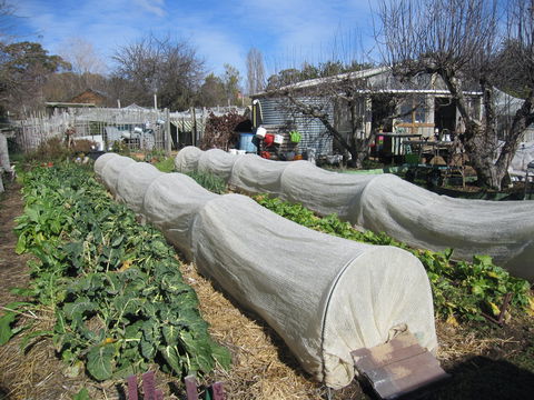 Wynlen House: Tour A Unique Urban Regenerative Farm And Market Garden - Attractions 0