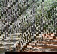 Yana-y Warruwi Walking Track - Attractions