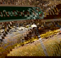 7 Peaks Ride - Falls Creek - Attractions