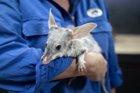 9 Day Outback Adventure - Attractions 0