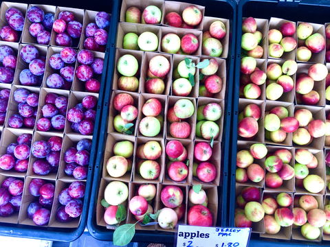 Adelaide Showground Farmers' Market - Attractions 0