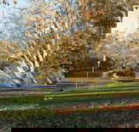 Albury - Attractions