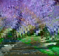 Alowyn Gardens and Nursery - Attractions
