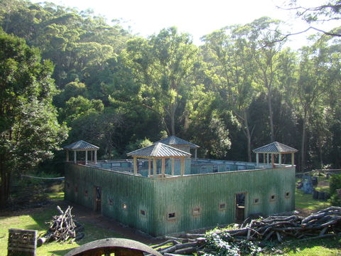 Alpha Paintball - Attractions 0
