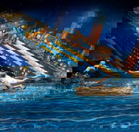 ArtVo Illusions - Attractions