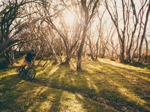Australian Alpine Epic Mountain Bike Trail - Attractions 2
