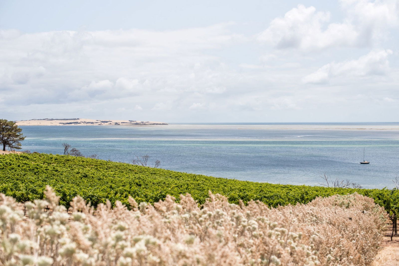 Bay Of Shoals SA Attractions