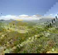 Border Ranges National Park - Attractions